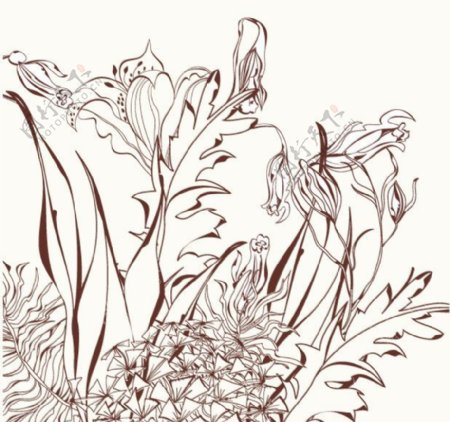 古典花卉花纹图片