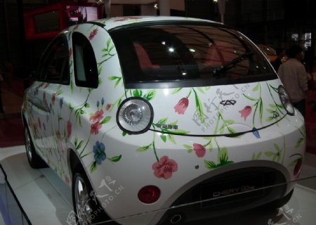 2011年上海车展微型花纹轿车图片