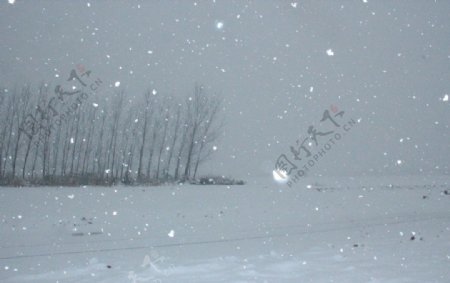 农田雪景图片