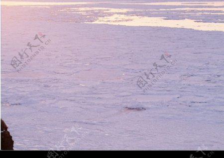 冰雪河流图片