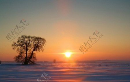 雪野夕阳图片