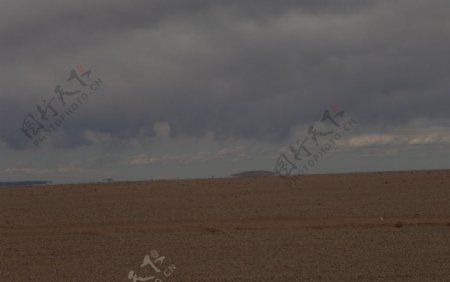 蒙古高原沙地图片