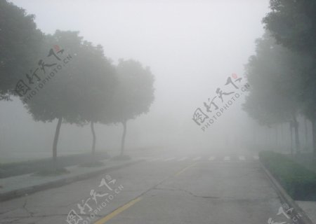 雾与路2图片