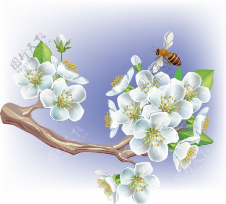 梦幻花纹花朵花枝蜜蜂图片