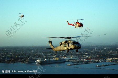 黑鹰直升机编队图片