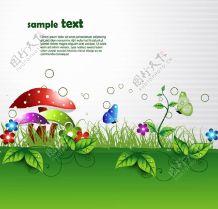 动感绿叶水滴蝴蝶蘑菇生态背景图片