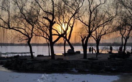 冬日夕阳雪图片
