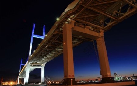 夜幕下的桥图片