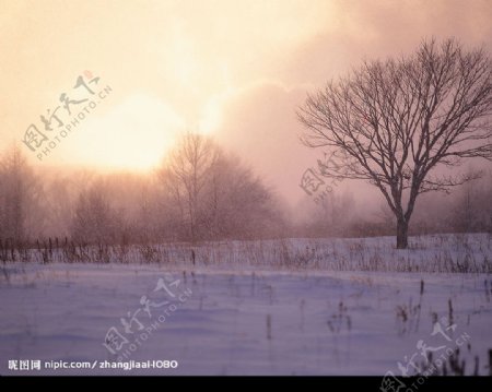 冬日黄昏图片