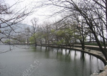 江滨风景图片