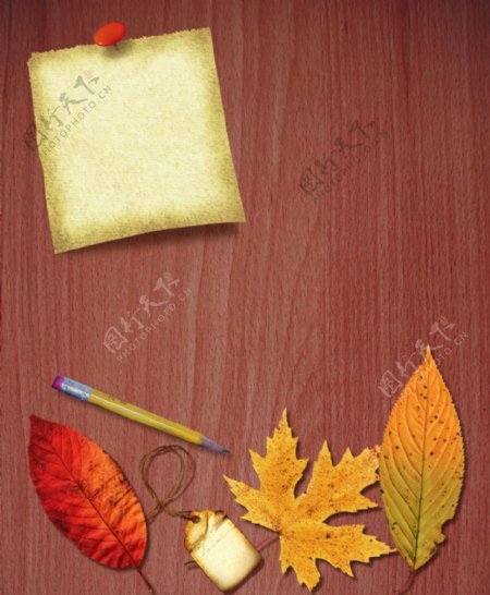 木纹牛皮纸枫叶红叶铅笔图片