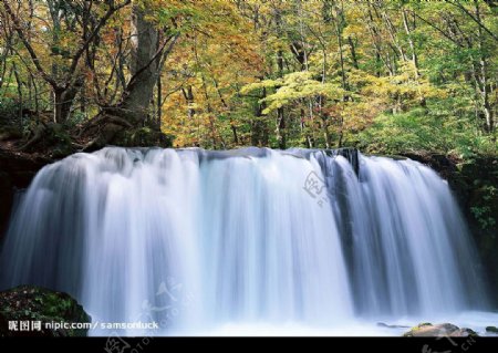 季节景致溪流水源4瀑布图片