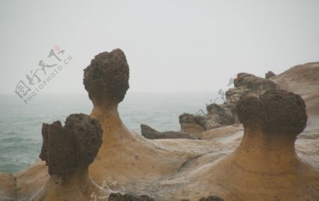 台湾野柳地址公园岩礁图片