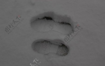 雪中脚印图片
