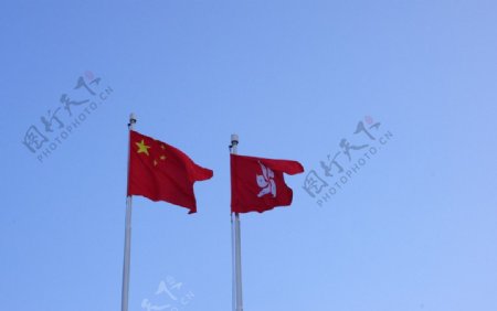 蓝天下的五星红旗和紫荆花旗图片