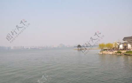 金鸡湖岸图片