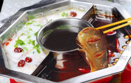 三味鱼锅图片