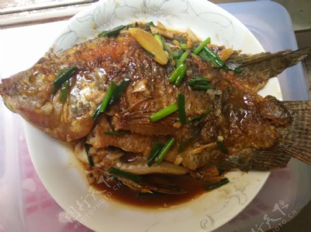 红烧福寿鱼图片
