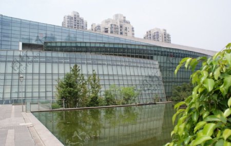 重庆市图书馆图片