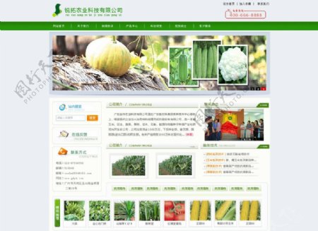 农业网页首页图片