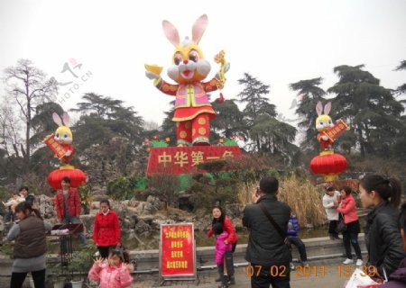 中华第一兔图片