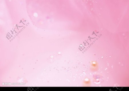 粉色珍珠背景图片
