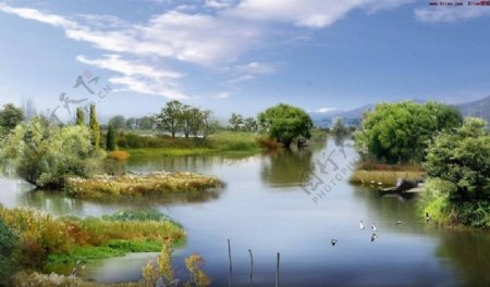 湿地风景图片