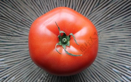 唯美番茄图片