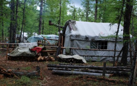鄂温克猎民点的帐篷图片