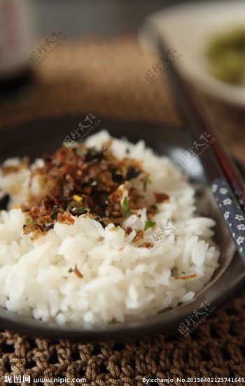 酱油猫饭图片