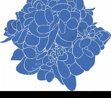 繡球花flower01图片