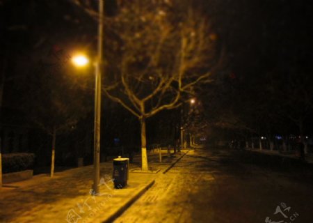 雪后校园夜晚图片