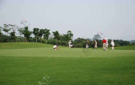 高尔夫草地球道高尔夫球场图片