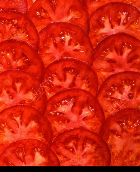 番茄剖面图图片