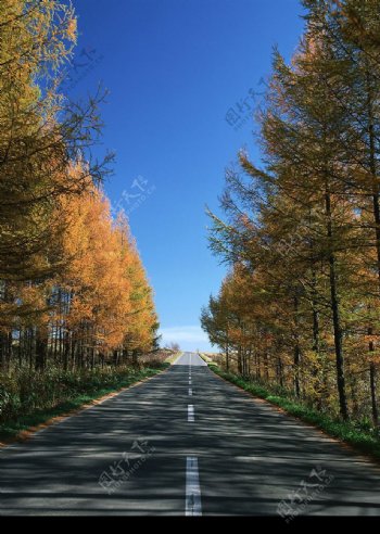 道路图片