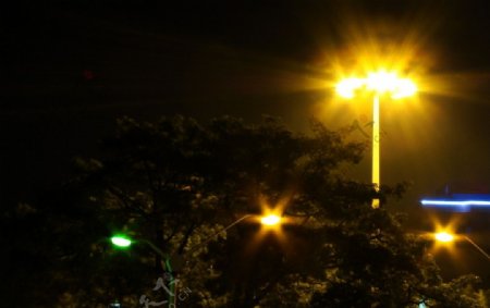 街灯夜景图片