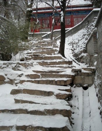 北京的雪图片