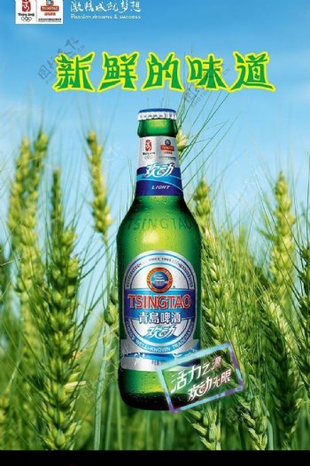 青岛啤酒图片