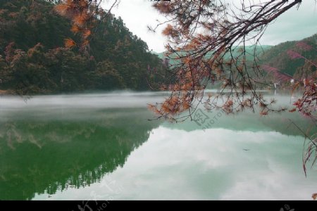 雾漫小东江图片