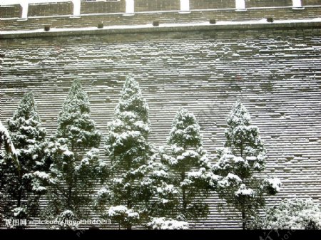 雪景图片