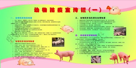动物防疫宣传栏图片