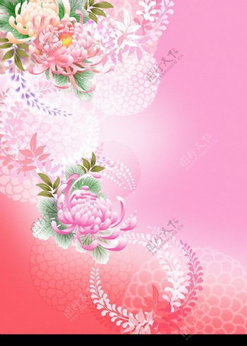 粉红菊花传统日本风背景底纹图片