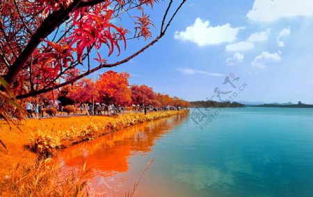东莞松山湖图片