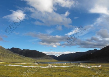 西藏山下的草原图片