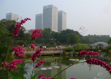 济宁人民公园运河城图片