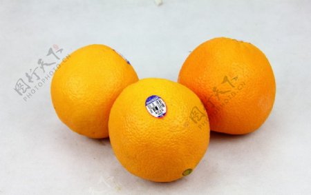 新奇士橙图片