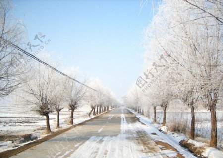 冬日乡村路图片