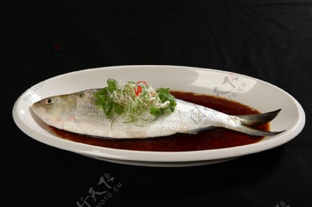红蒸鲜鲥鱼图片