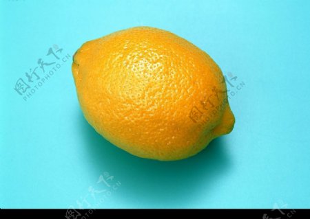 柠檬4图片