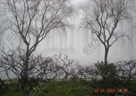 冬季西湖图片